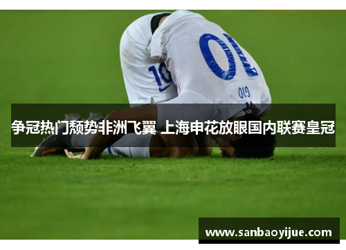 争冠热门颓势非洲飞翼 上海申花放眼国内联赛皇冠